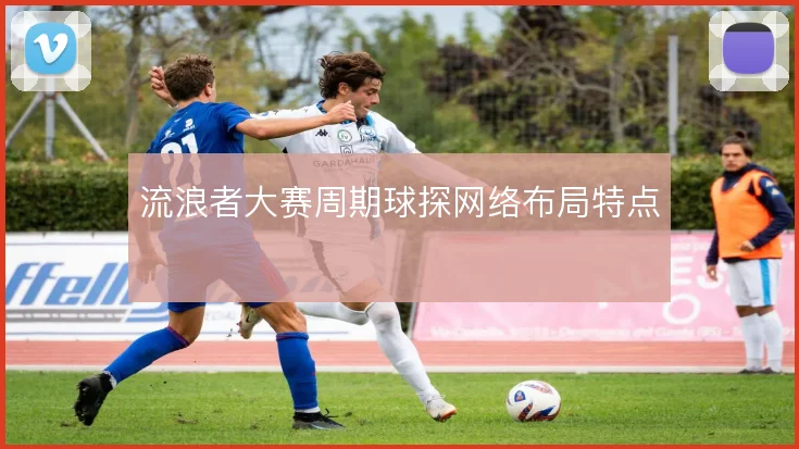 流浪者大赛周期球探网络布局特点