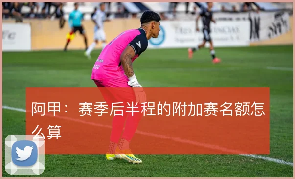 阿甲：赛季后半程的附加赛名额怎么算