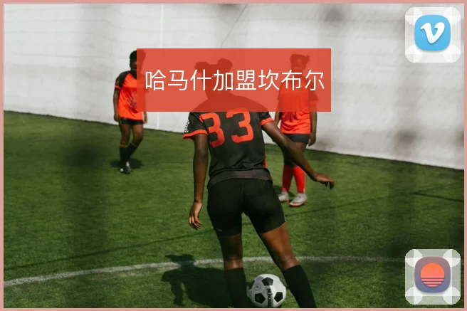 哈马什加盟坎布尔