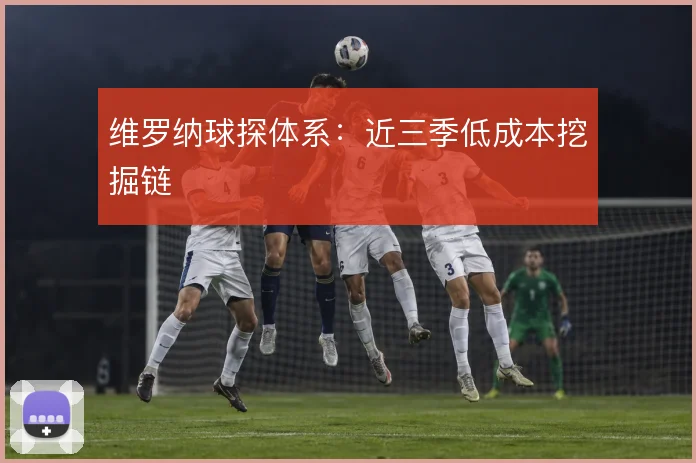 维罗纳球探体系:近三季低成本挖掘链