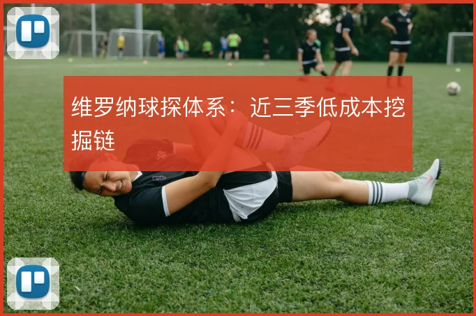 维罗纳球探体系:近三季低成本挖掘链