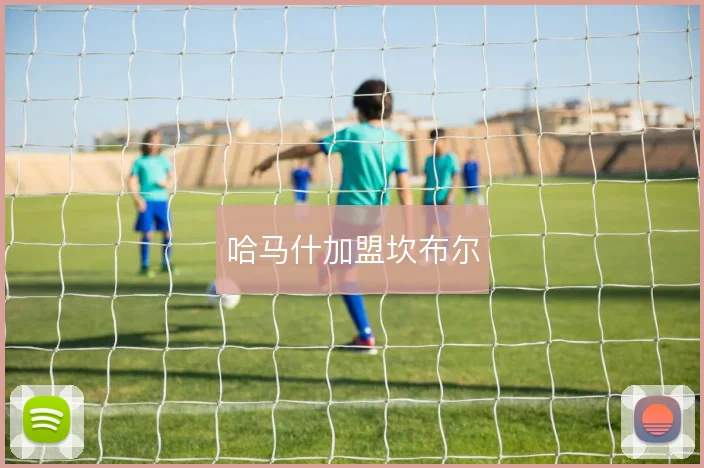 哈马什加盟坎布尔